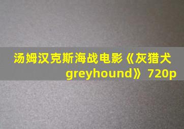 汤姆汉克斯海战电影《灰猎犬 greyhound》 720p